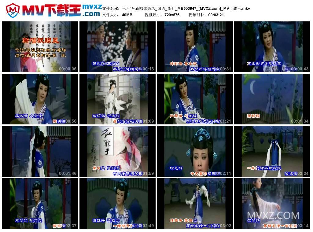 王月华-新唱钗头凤_国语_流行_MB503947